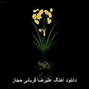 دانلود آهنگ علیرضا قربانی حجاز | کیفیت 320 و متن ترانه دانلود آهنگ علیرضا قربانی حجاز | کیفیت 320 و متن ترانه