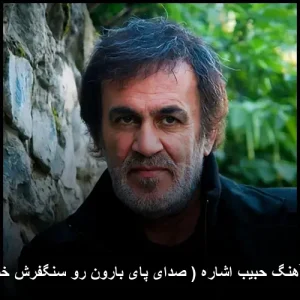 دانلود آهنگ حبیب اشاره (صدای پای بارون رو سنگفرش خیابون) mp3