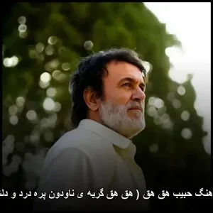 دانلود آهنگ حبیب هق هق ( هق هق گریه ی ناودون پره درد و دلشوره ) | کیفیت 320 دانلود آهنگ حبیب هق هق ( هق هق گریه ی ناودون پره درد و دلشوره ) | کیفیت 320