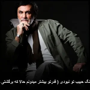 دانلود آهنگ حبیب تو نبودی ( قدرتو بیشتر میدونم حالا که برگشتی خونم )