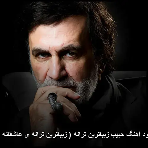 ترانه ( زیباترین ترانه ی عاشقانه ام ) - حبیب زیباترین