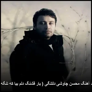دانلود آهنگ محسن چاوشی دلتنگی ( یار قشنگ دلم بیا که تنگه دلم ) | کیفیت 320 دانلود آهنگ محسن چاوشی دلتنگی ( یار قشنگ دلم بیا که تنگه دلم ) | کیفیت 320