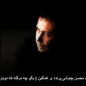 دانلود آهنگ محسن چاوشی پرنده ی غمگین ( بگو چه مرگته که دوباره میخونی )