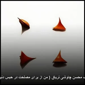 دانلود آهنگ محسن چاوشی تریاق ( من از برای مصلحت در حبس دنیا مانده ام )