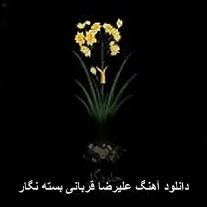 دانلود آهنگ علیرضا قربانی بسته نگار | پاپ احساسی 2018