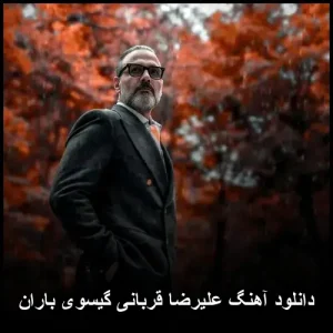 دانلود آهنگ علیرضا قربانی گیسوی باران | کیفیت 320 و متن ترانه دانلود آهنگ علیرضا قربانی گیسوی باران | کیفیت 320 و متن ترانه