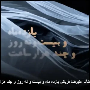 دانلود آهنگ علیرضا قربانی یازده ماه و بیست و نه روز و چند هزار ساعت