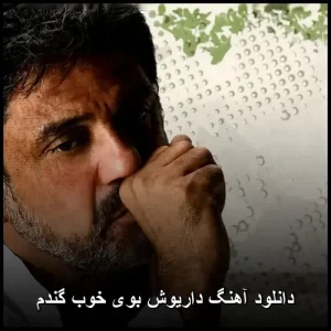 دانلود آهنگ داریوش بوی خوب گندم | کیفیت 320 و متن ترانه دانلود آهنگ داریوش بوی خوب گندم | کیفیت 320 و متن ترانه