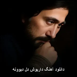 دانلود آهنگ داریوش دل دیوونه | کیفیت عالی و پخش آنلاین دانلود آهنگ داریوش دل دیوونه | کیفیت عالی و پخش آنلاین