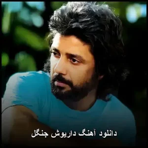 دانلود آهنگ داریوش جنگل | پاپ مدرن با کیفیت عالی دانلود آهنگ داریوش جنگل | پاپ مدرن با کیفیت عالی