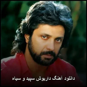 دانلود آهنگ داریوش سپید و سیاه | کیفیت اصلی + متن ترانه دانلود آهنگ داریوش سپید و سیاه | کیفیت اصلی + متن ترانه
