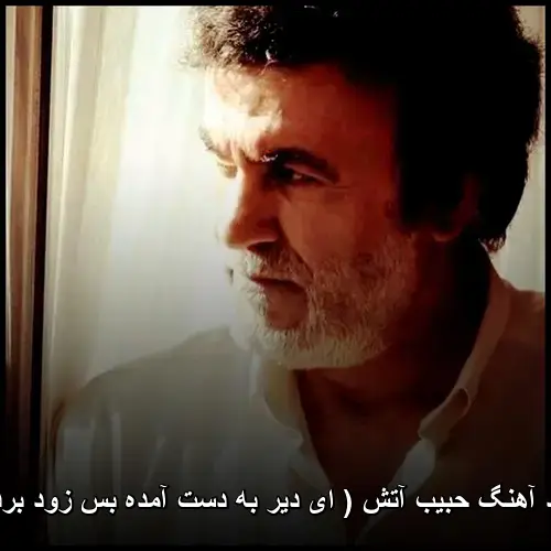(ای دیر به دست آمده بس زود برفتی) - حبیب آتش