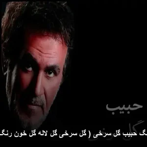 دانلود آهنگ حبیب گل سرخی | گل سرخی گل لاله با کیفیت عالی