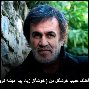 دانلود آهنگ حبیب خوشگل من ( خوشگل زیاد پیدا میشه توو دنیا )