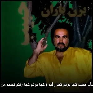 دانلود آهنگ حبیب کجا بودم کجا رفتم | نسخه 320 دانلود آهنگ حبیب کجا بودم کجا رفتم | نسخه 320