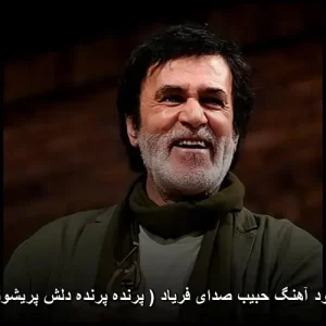 دانلود آهنگ حبیب صدای فریاد ( پرنده پرنده دلش پریشونه ) | کیفیت 320