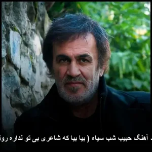 دانلود آهنگ حبیب شب سیاه (بیا بیا که شاعری بی تو نداره رونقی)