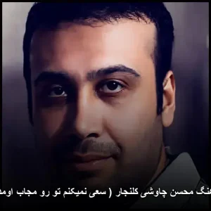 دانلود آهنگ محسن چاوشی کلنجار ( سعی نمیکنم تو رو مجاب اومدن کنم )
