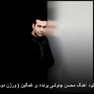 دانلود آهنگ محسن چاوشی پرنده غمگین (ورژن دوم) | کیفیت 320 و پخش آنلاین