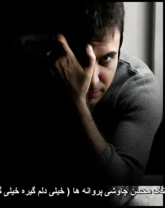 دانلود آهنگ محسن چاوشی پروانه ها ( خیلی دلم گیره خیلی گرفتارم )