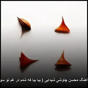 دانلود آهنگ محسن چاوشی شیدایی ( بیا بیا که شدم در غم تو سودایی )