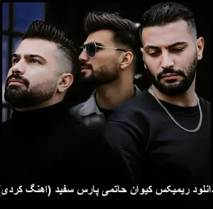 دانلود ریمیکس کیوان حاتمی پارس سفید (اهنگ کردی) دانلود ریمیکس کیوان حاتمی پارس سفید (اهنگ کردی)