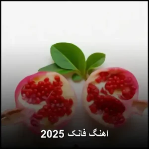 اهنگ فانک 2025 | گلچین جدید موزیک های فانک اهنگ فانک 2025 | گلچین جدید موزیک های فانک