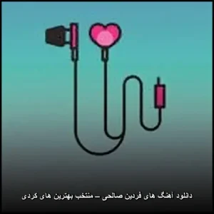 دانلود آهنگ های فردین صالحی – گلچین بینظیر موسیقی کردی