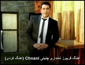 آهنگ فریبرز نامداری چنینی Chnani | احساسی ترین ترانه کردی آهنگ فریبرز نامداری چنینی Chnani | احساسی ترین ترانه کردی