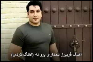 آهنگ فریبرز نامداری پروانه (اهنگ کردی) | دانلود مستقیم 320 آهنگ فریبرز نامداری پروانه (اهنگ کردی) | دانلود مستقیم 320