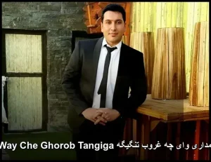 آهنگ فریبرز نامداری وای چه غروب تنگیگه Way Che Ghorob Tangiga