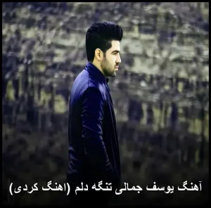 آهنگ یوسف جمالی تنگه دلم (اهنگ کردی) | دانلود با کیفیت 320 آهنگ یوسف جمالی تنگه دلم (اهنگ کردی) | دانلود با کیفیت 320