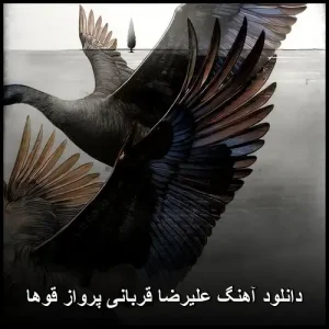 دانلود آهنگ علیرضا قربانی پرواز قوها | متن + کیفیت 320 دانلود آهنگ علیرضا قربانی پرواز قوها | متن + کیفیت 320