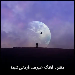 دانلود آهنگ شیدا با صدای علیرضا قربانی – کیفیت 320 دانلود آهنگ شیدا با صدای علیرضا قربانی – کیفیت 320