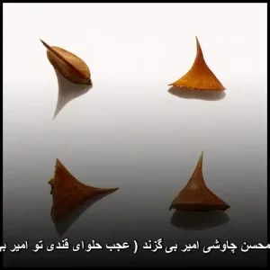 دانلود آهنگ محسن چاوشی امیر بی گزند ( عجب حلوای قندی تو امیر بی گزندی تو ) دانلود آهنگ محسن چاوشی امیر بی گزند ( عجب حلوای قندی تو امیر بی گزندی تو )
