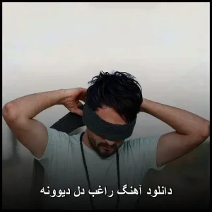 دانلود آهنگ راغب دل دیوونه | کیفیت اصلی و متن ترانه