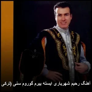 دانلود آهنگ رحیم شهریاری ایسته ییرم گوروم سنی (ترکی آذری) | کیفیت 320