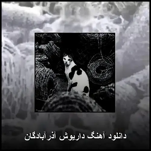آذرآبادگان - داریوش