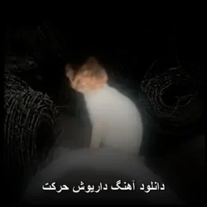 دانلود آهنگ داریوش حرکت | کیفیت 320 و پخش آنلاین دانلود آهنگ داریوش حرکت | کیفیت 320 و پخش آنلاین