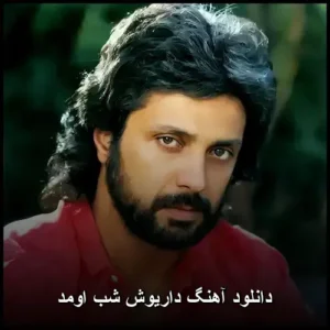 دانلود آهنگ داریوش شب اومد | کیفیت عالی و متن ترانه