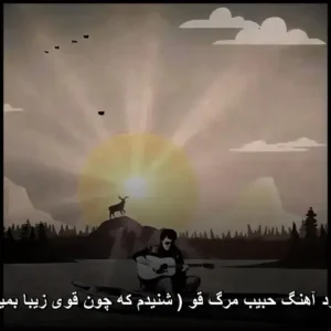 دانلود آهنگ حبیب مرگ قو ( شنیدم که چون قوی زیبا بمیرد ) | کیفیت عالی و متن