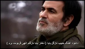 دانلود آهنگ حبیب نازگل بابا | کیفیت عالی + متن دانلود آهنگ حبیب نازگل بابا | کیفیت عالی + متن