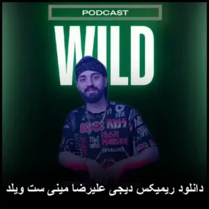 دانلود آهنگ دیجی علیرضا ریمیکس مینی ست ویلد | جدید و پرطرفدار