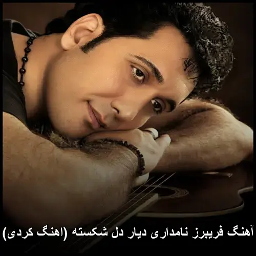 دیار دل شکسته ( کردی) - فریبرز نامداری