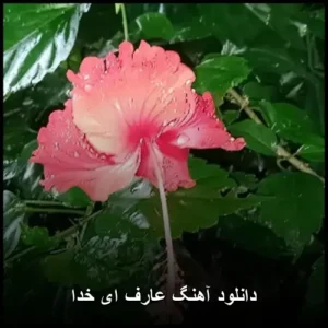 دانلود آهنگ عارف ای خدا