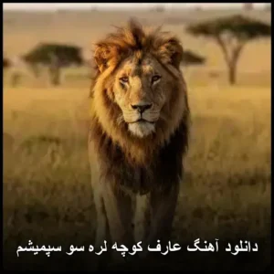 دانلود آهنگ عارف کوچه لره سو سپمیشم دانلود آهنگ عارف کوچه لره سو سپمیشم