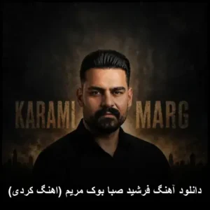 دانلود آهنگ فرشید صبا بوک مریم (کردی) | کیفیت 320 همراه با متن دانلود آهنگ فرشید صبا بوک مریم (کردی) | کیفیت 320 همراه با متن