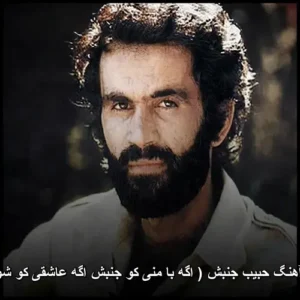 دانلود آهنگ حبیب جنبش ( اگه با منی کو جنبش اگه عاشقی کو شورش ) | کیفیت 320 + پخش آنلاین