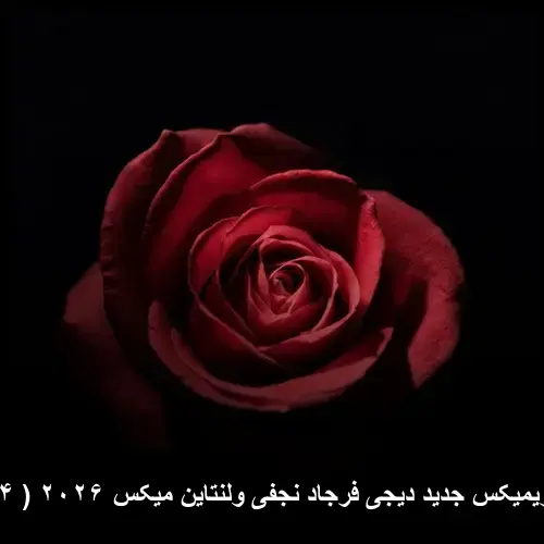 دیجی فرجاد نجفی ولنتاین میکس ۲۰۲۶