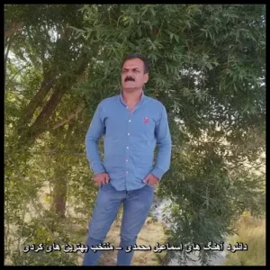 دانلود آهنگ های اسماعیل محمدی – منتخب بهترین های کردی | موسیقی اصیل کردی دانلود آهنگ های اسماعیل محمدی – منتخب بهترین های کردی | موسیقی اصیل کردی